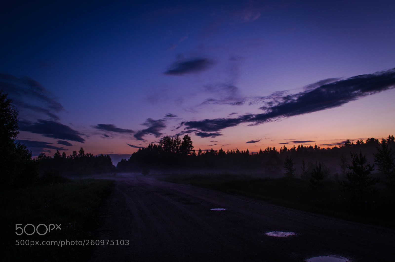 Nikon D5100 sample photo. Foggy tales photography