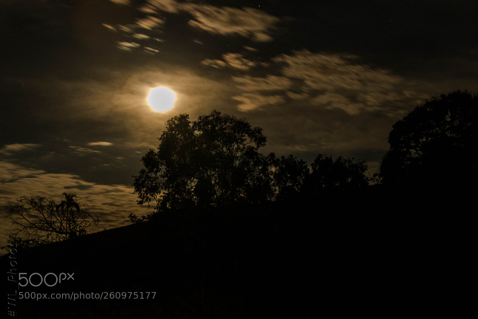 Canon EOS 70D sample photo. Editar photography