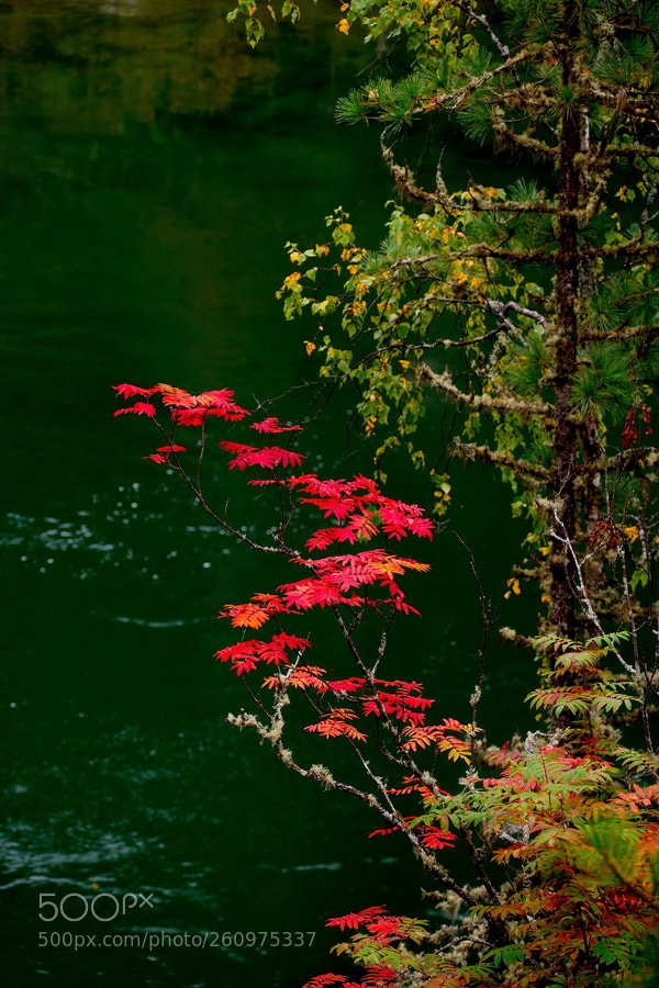 Fujifilm X-T1 sample photo. Russia. siberia, west sayan photography