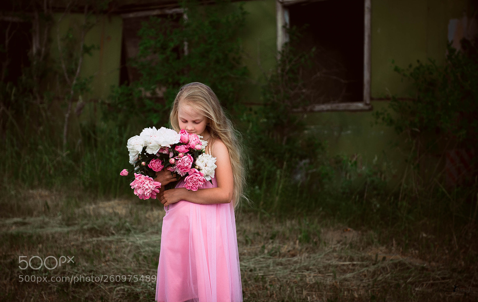 Nikon D4 sample photo. Pink photography