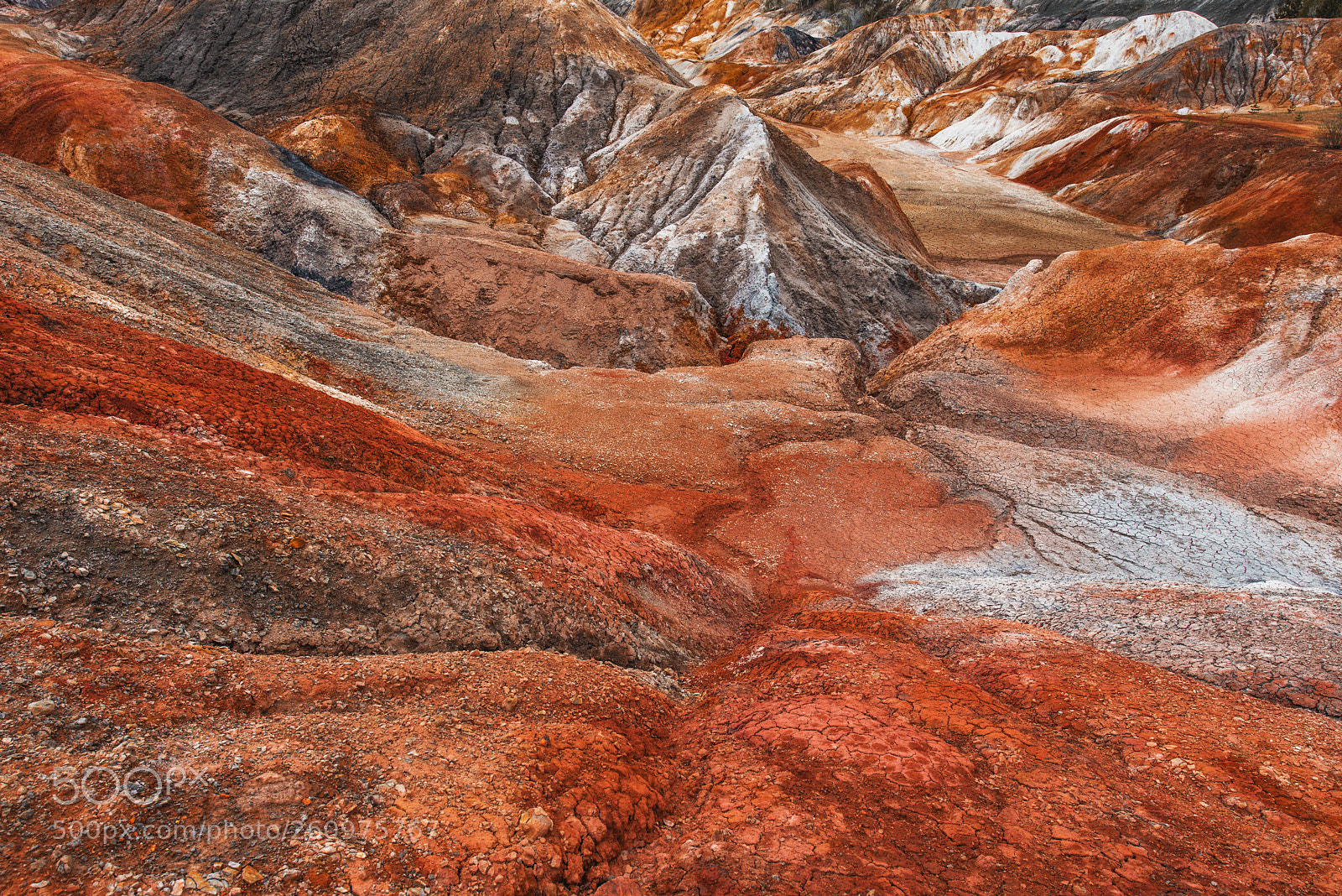 Nikon D800 sample photo. Mars on earth photography