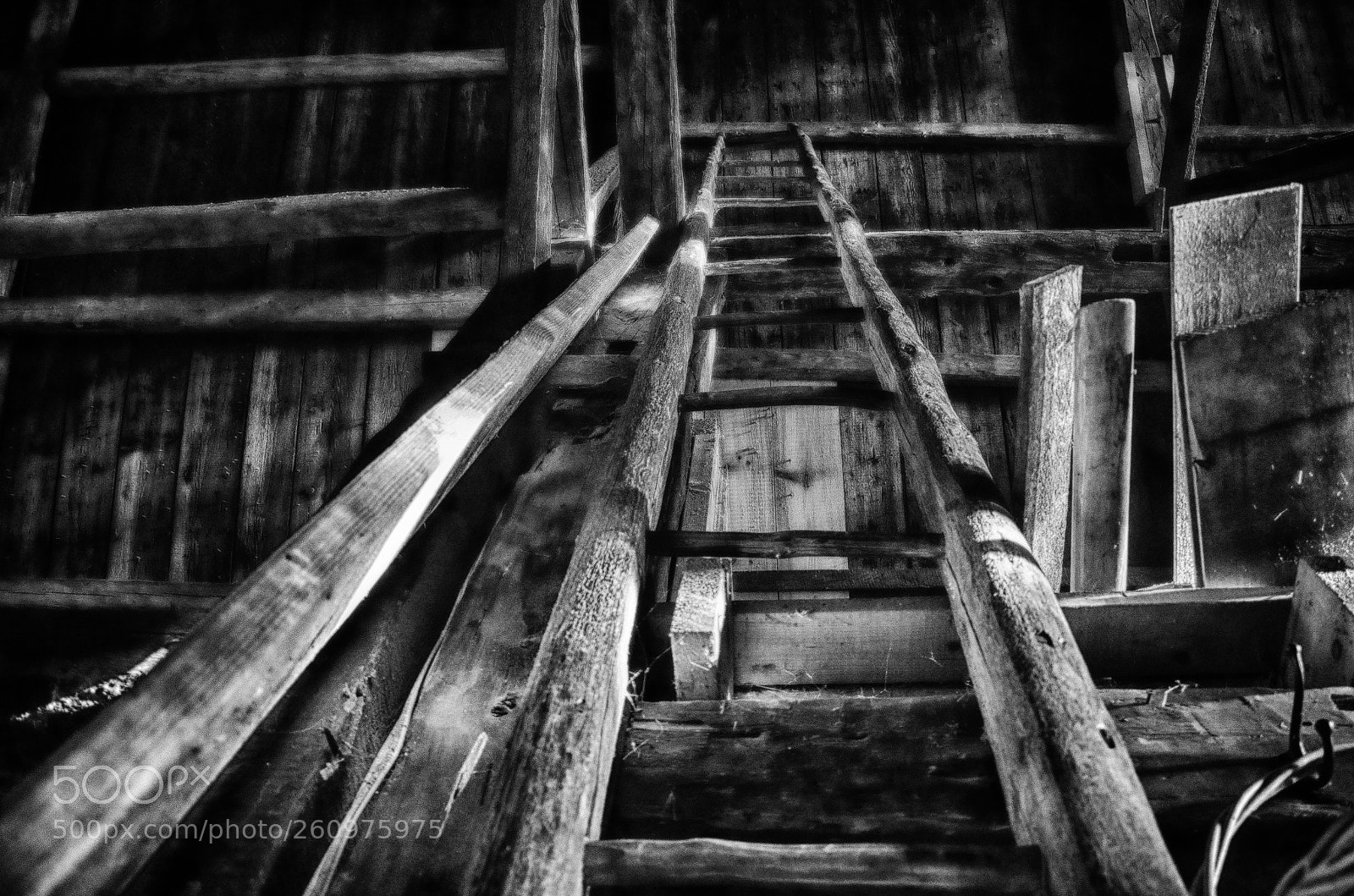Nikon D7000 sample photo. Barn ladder photography