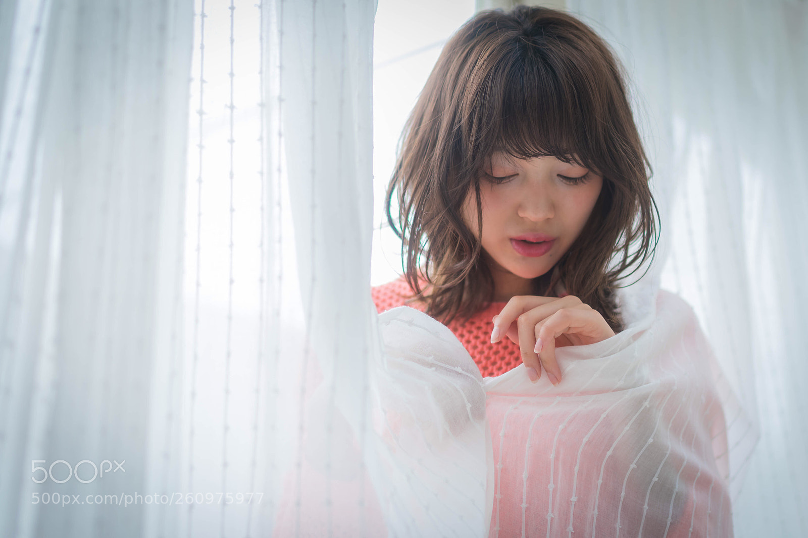 Canon EOS 5D Mark IV sample photo. Rino photography