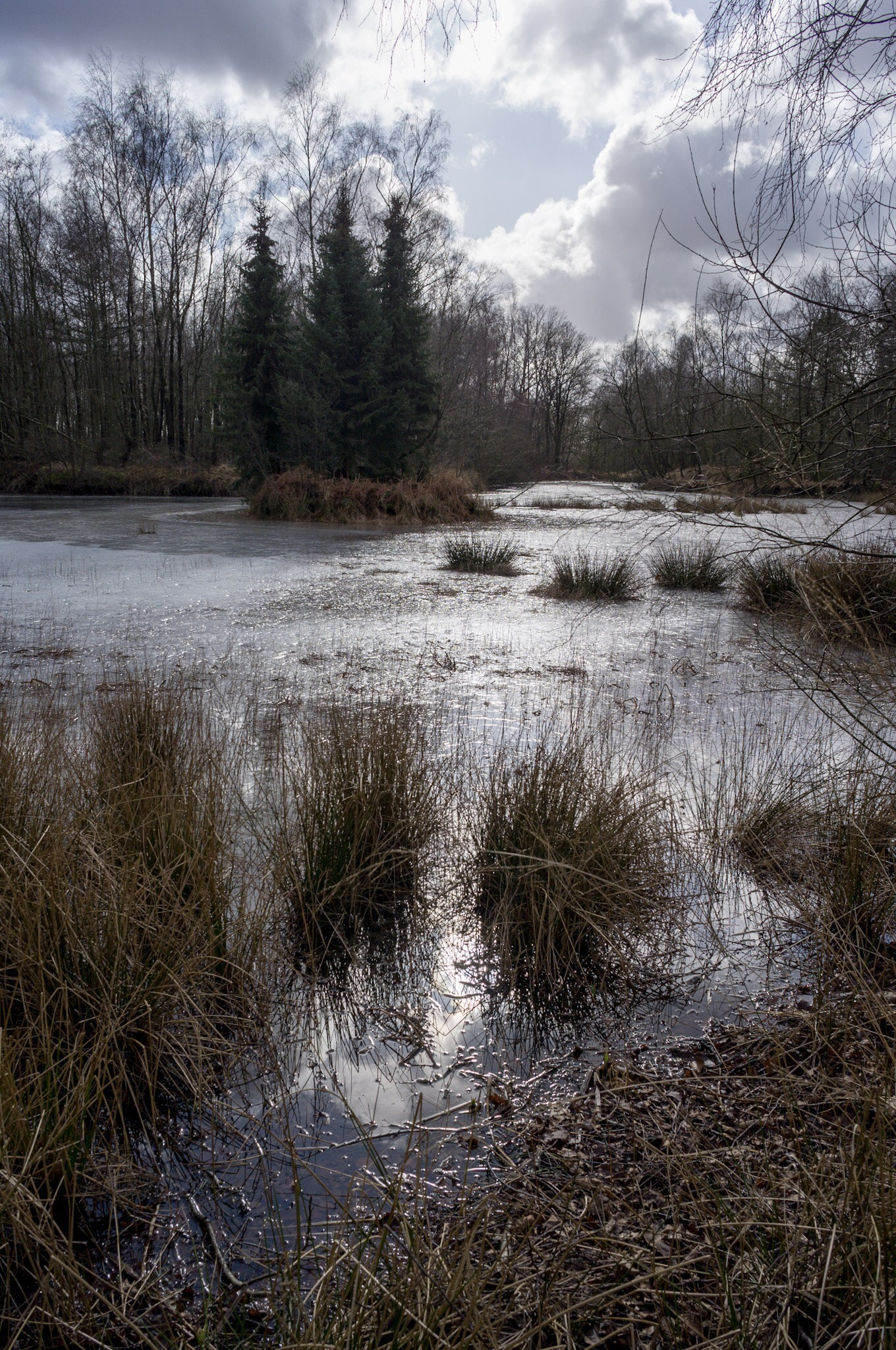 Ricoh GXR A12 sample photo. Frozen lake photography