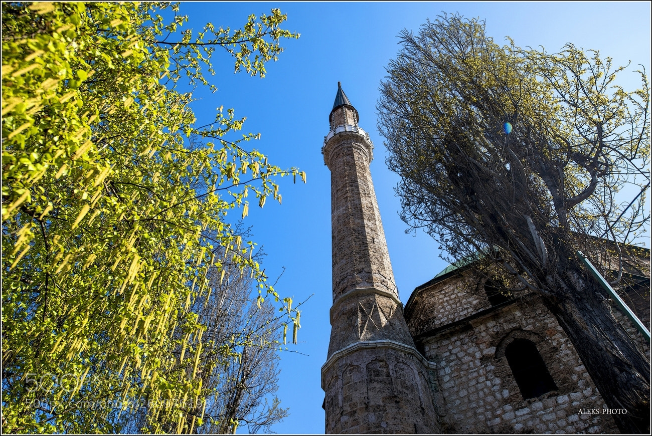 Nikon D810 sample photo. Walk in sarajevo photography