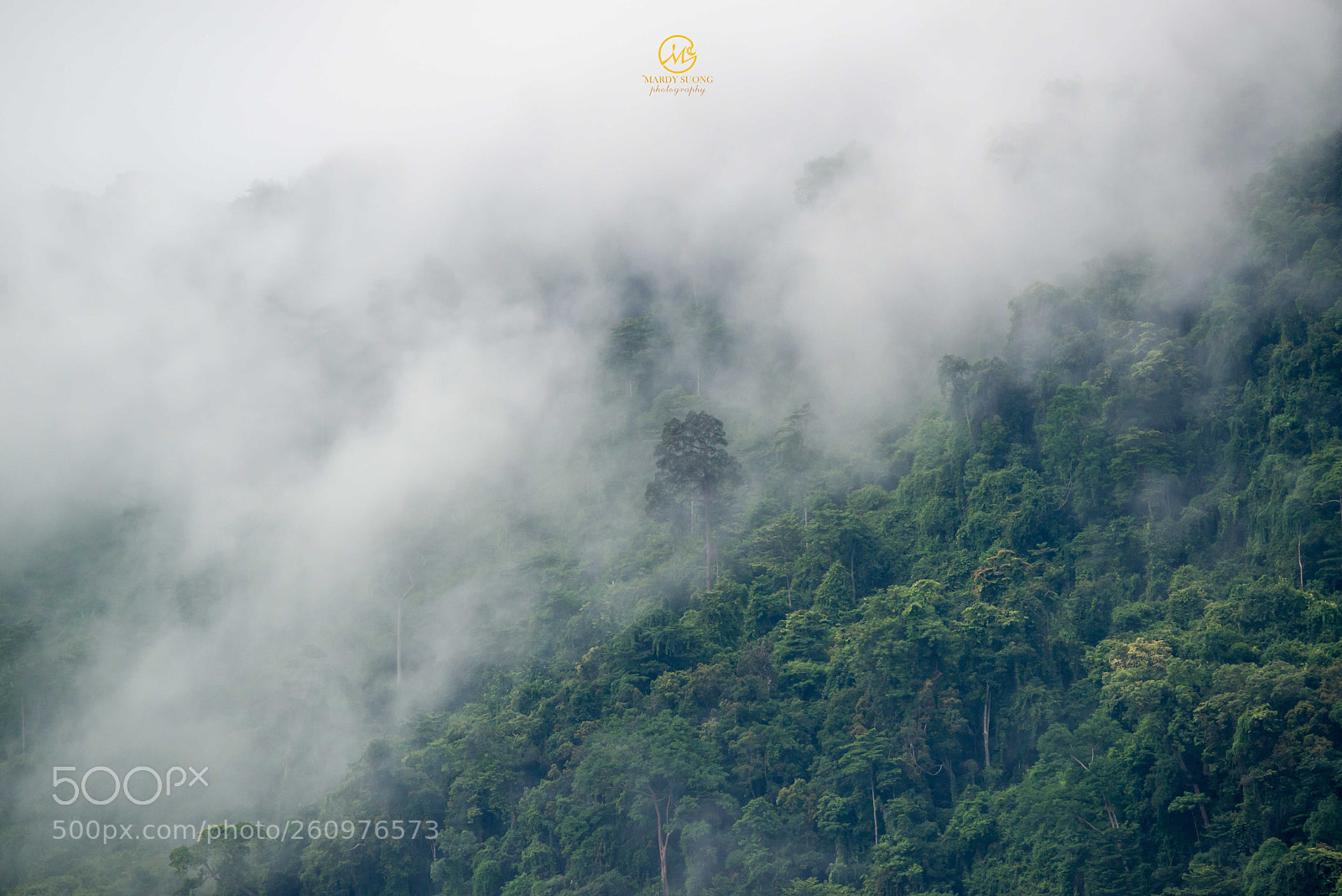 Nikon D800 sample photo. A beauty of nature photography