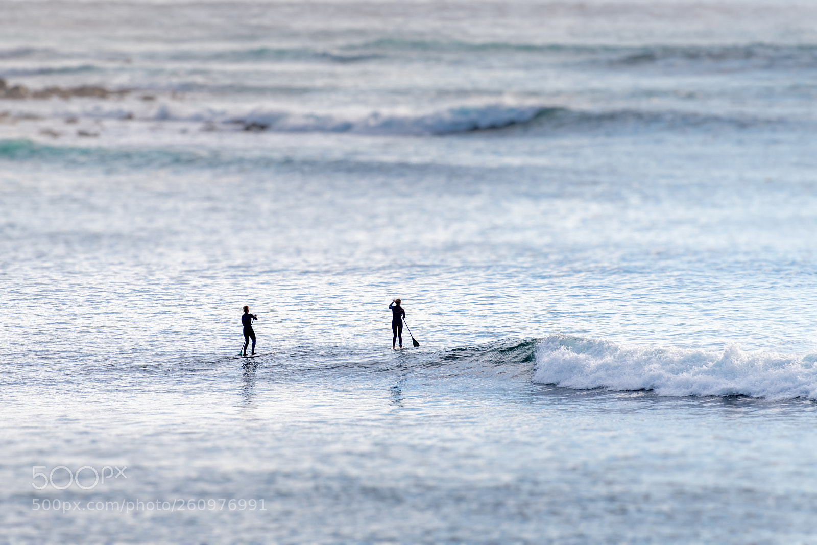 Nikon D850 sample photo. Standing on the sea photography