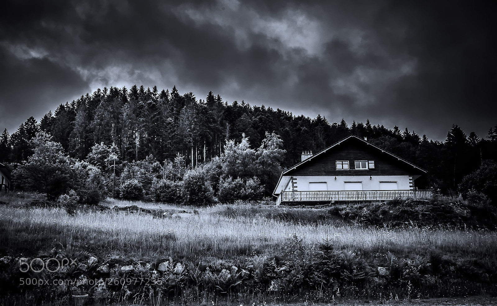 Nikon D610 sample photo. Soon mountain holidays photography