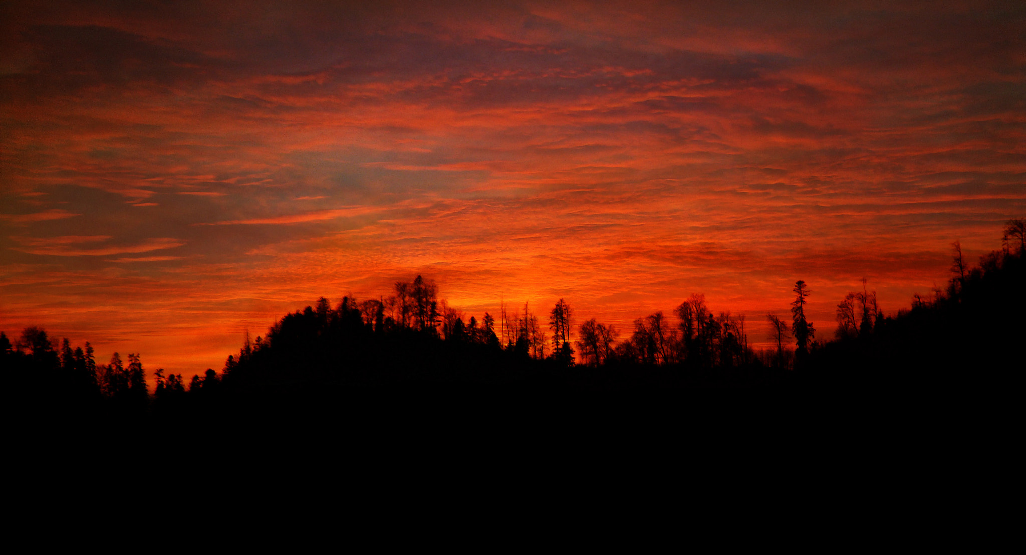 Sony DSC-H3 sample photo. Silhouettes photography