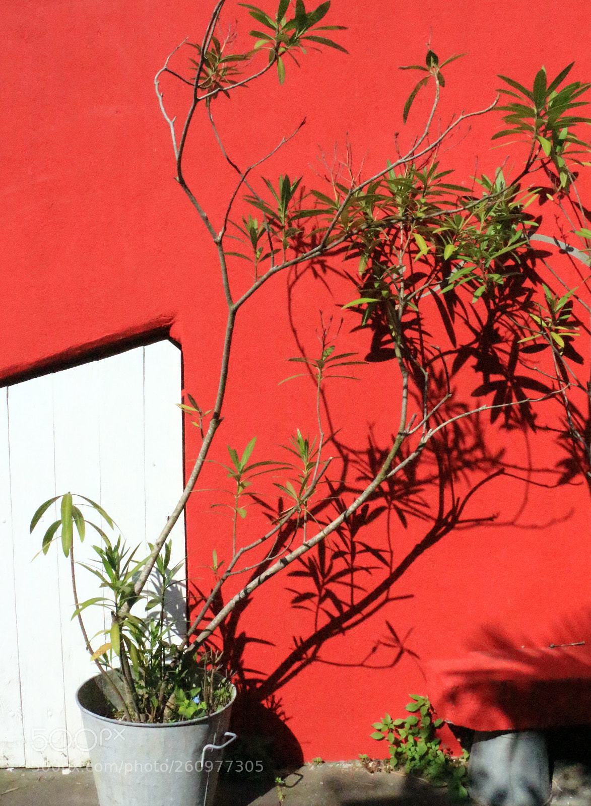 Canon EOS 100D (EOS Rebel SL1 / EOS Kiss X7) sample photo. Colours in trentemoult photography