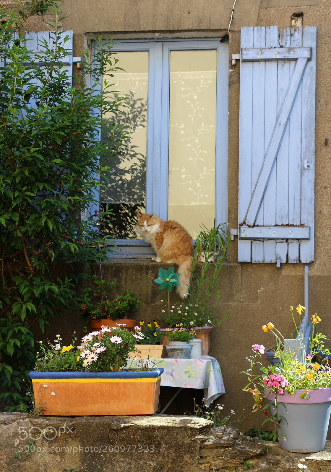 Canon EOS 100D (EOS Rebel SL1 / EOS Kiss X7) sample photo. Colours in trentemoult photography