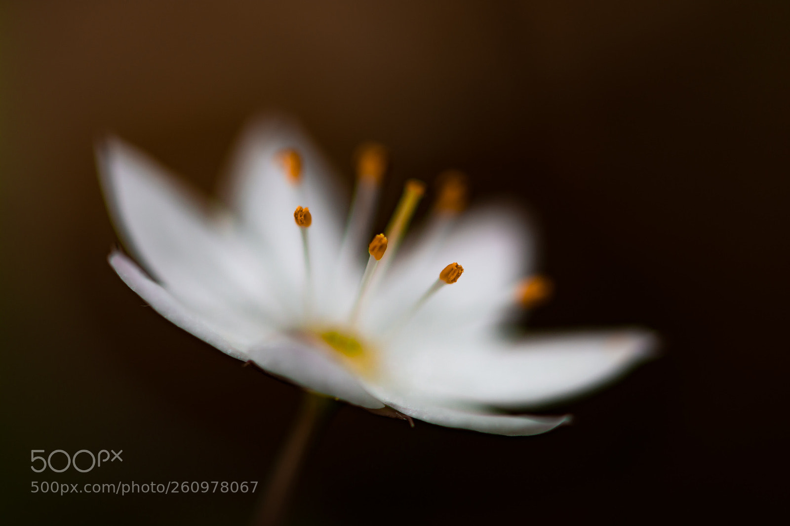 Nikon D7100 sample photo. Day 804 photography