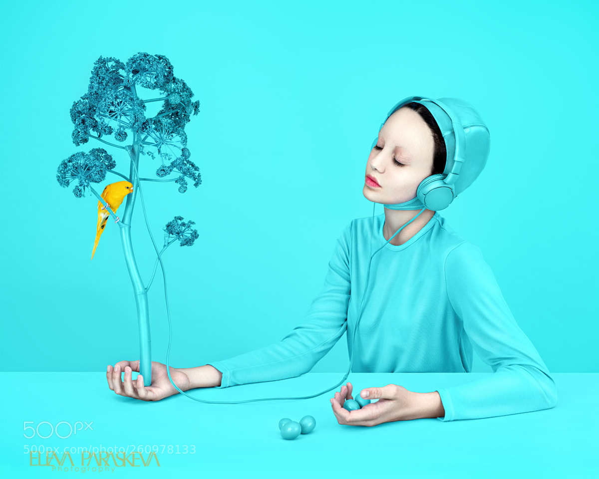 Nikon D810 sample photo. Living by proxy photography