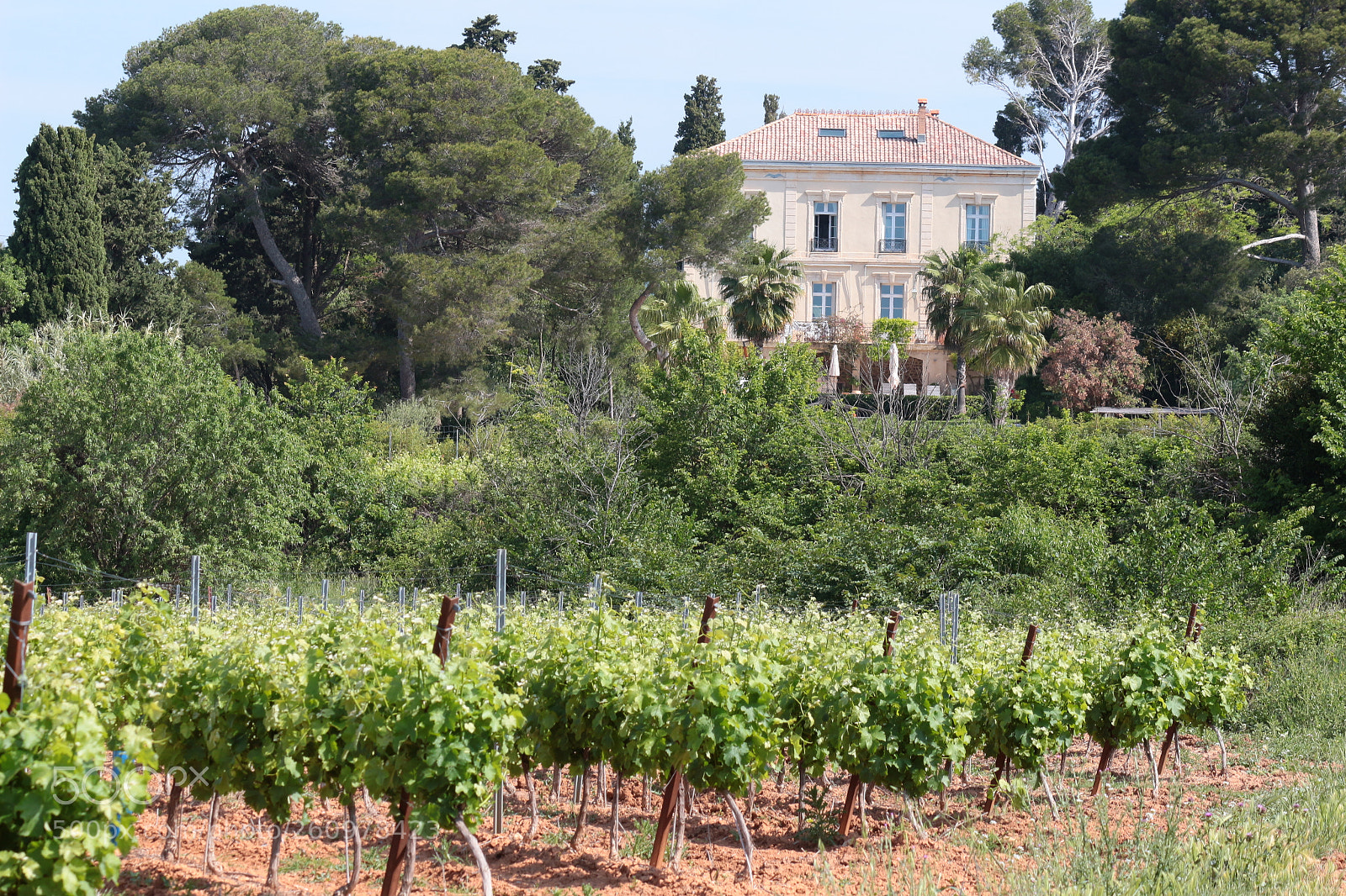 Canon EF-S 55-250mm F4-5.6 IS II sample photo. Domaine languedoc photography