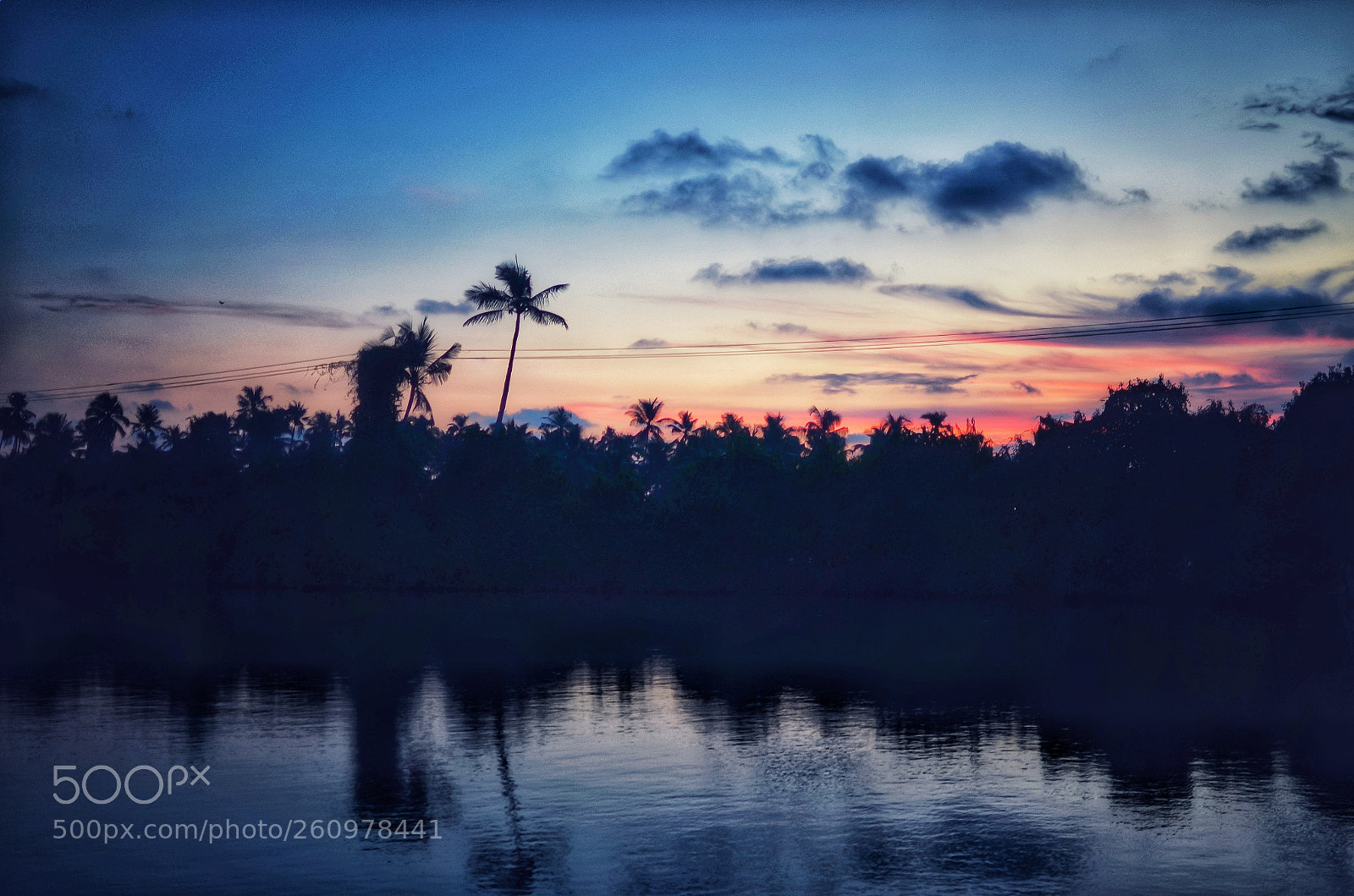 Nikon D5100 sample photo. Beauty never seeks attention photography