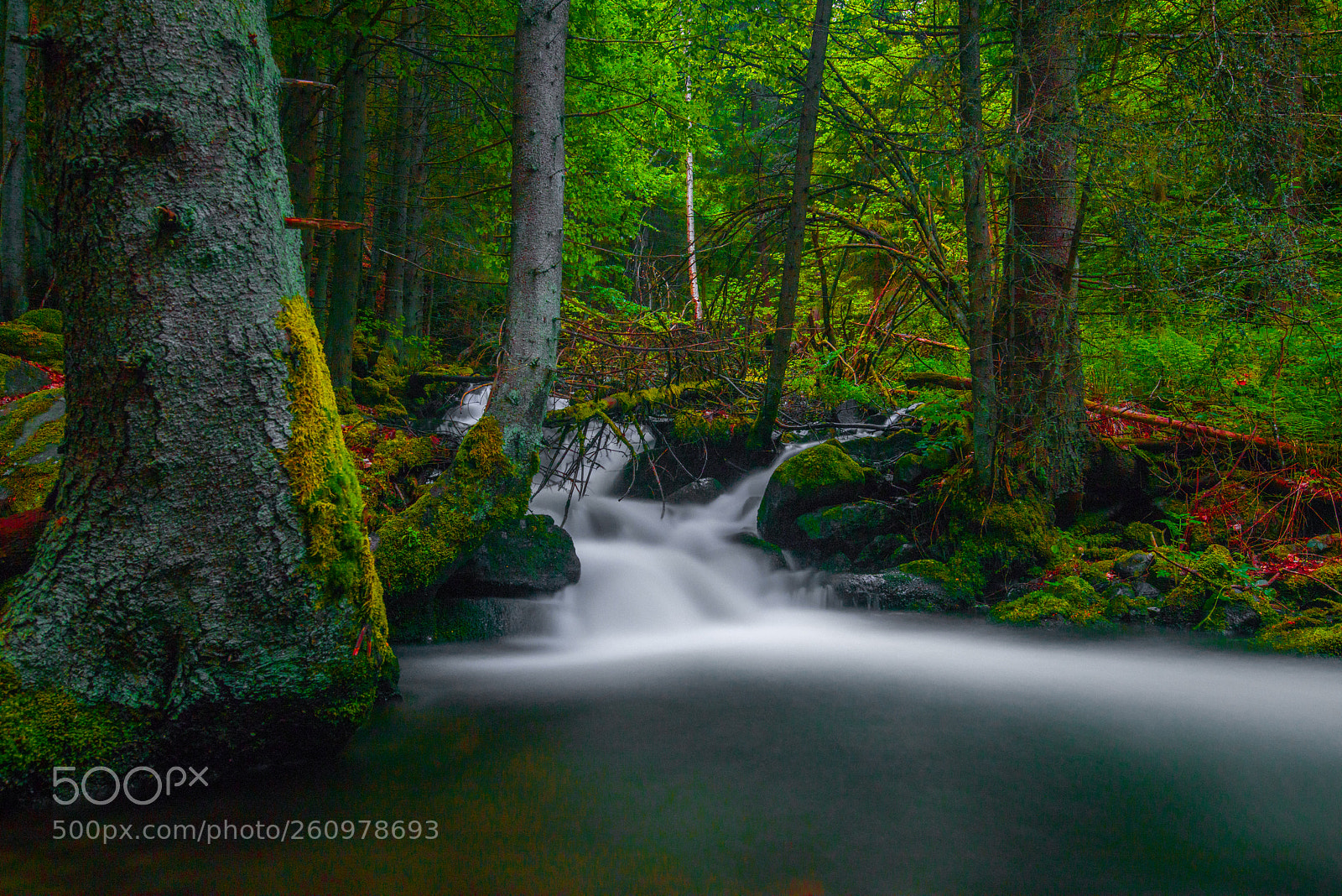Nikon D810 sample photo. Fairytale river photography