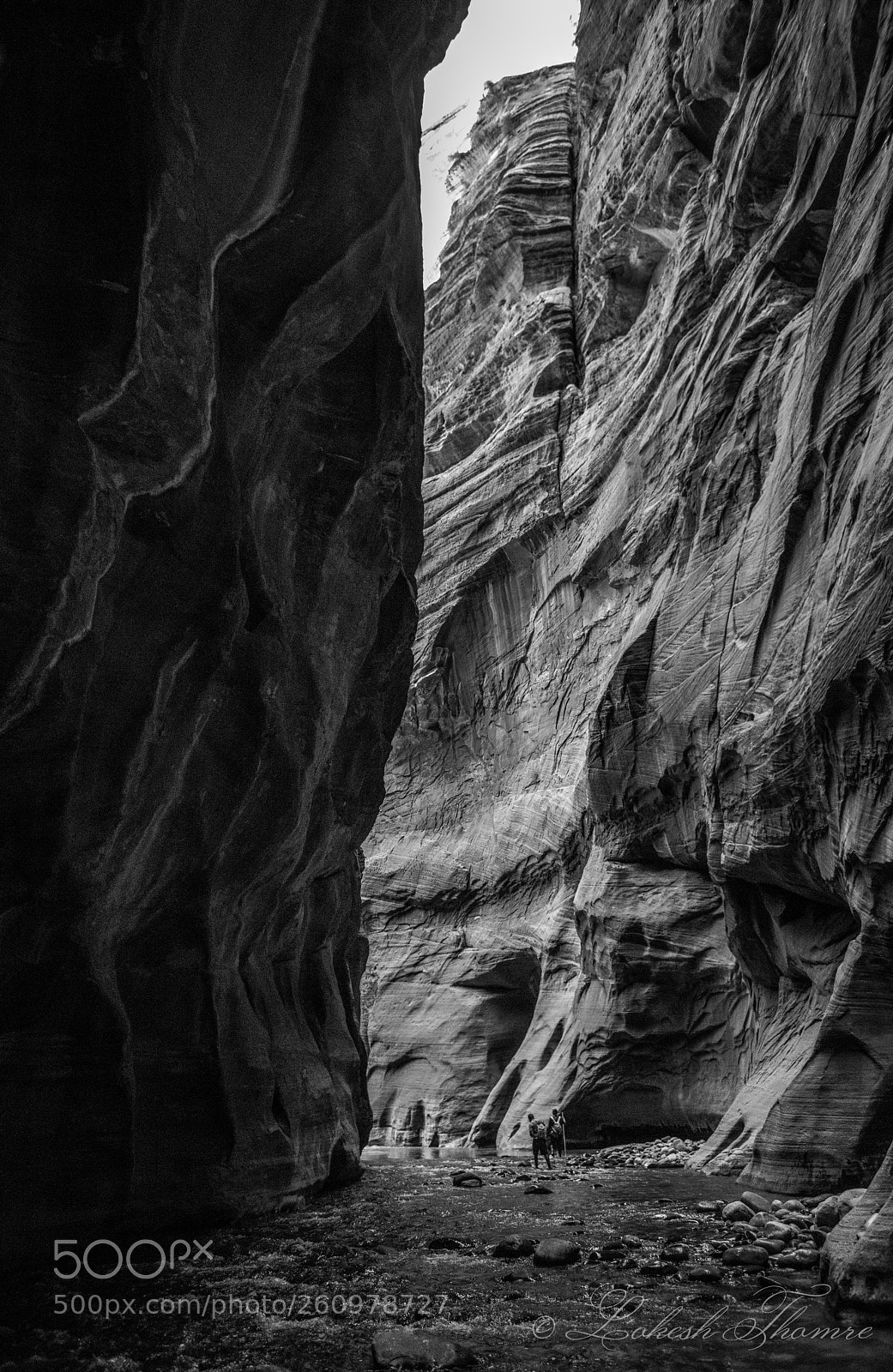 Nikon D810 sample photo. Zion national park photography