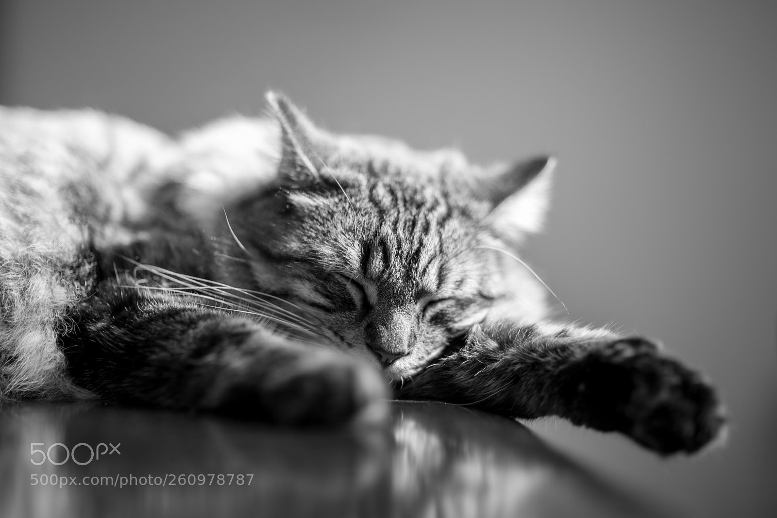 Canon EOS 6D sample photo. Nap time photography