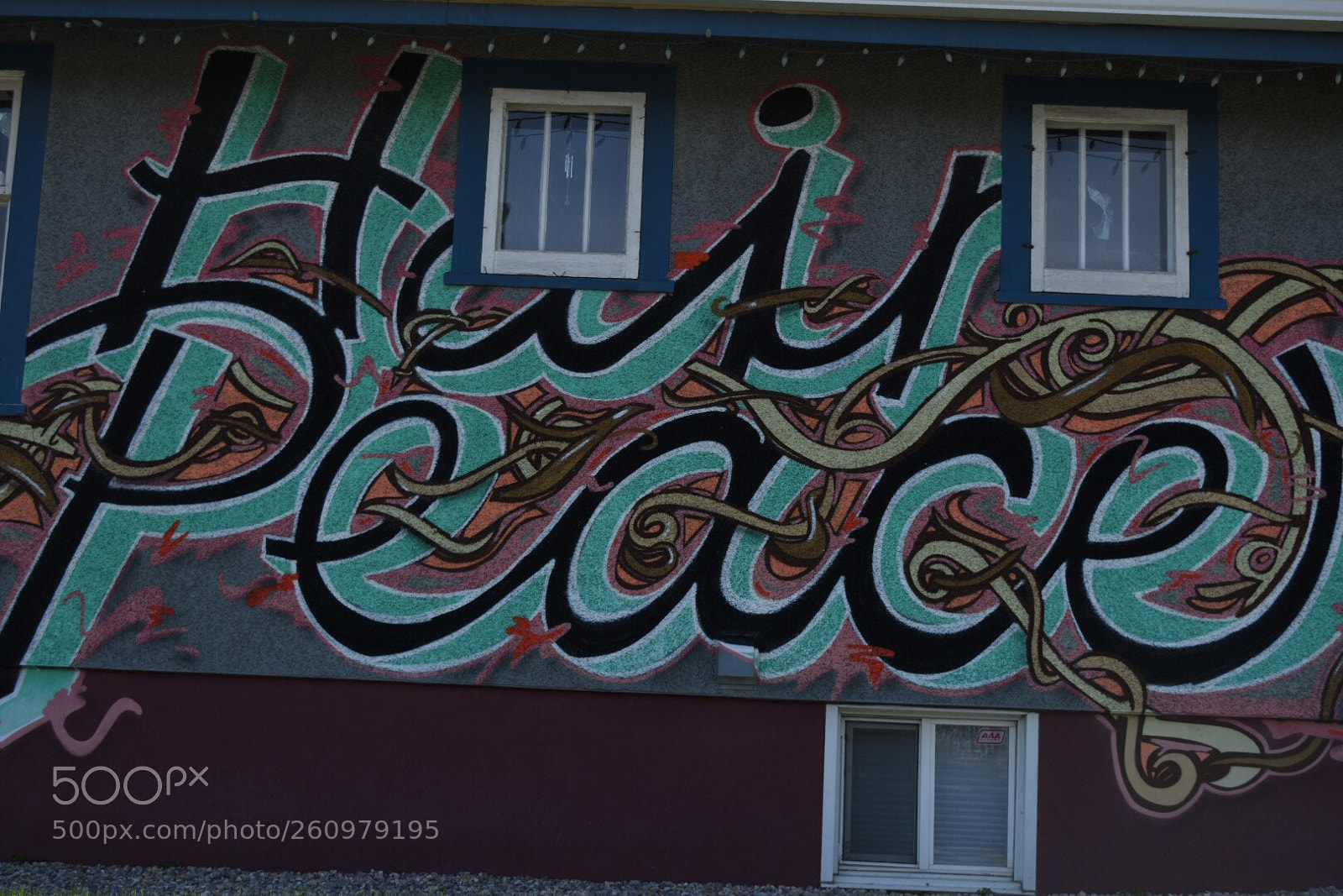 Nikon D5500 sample photo. Hair peace photography