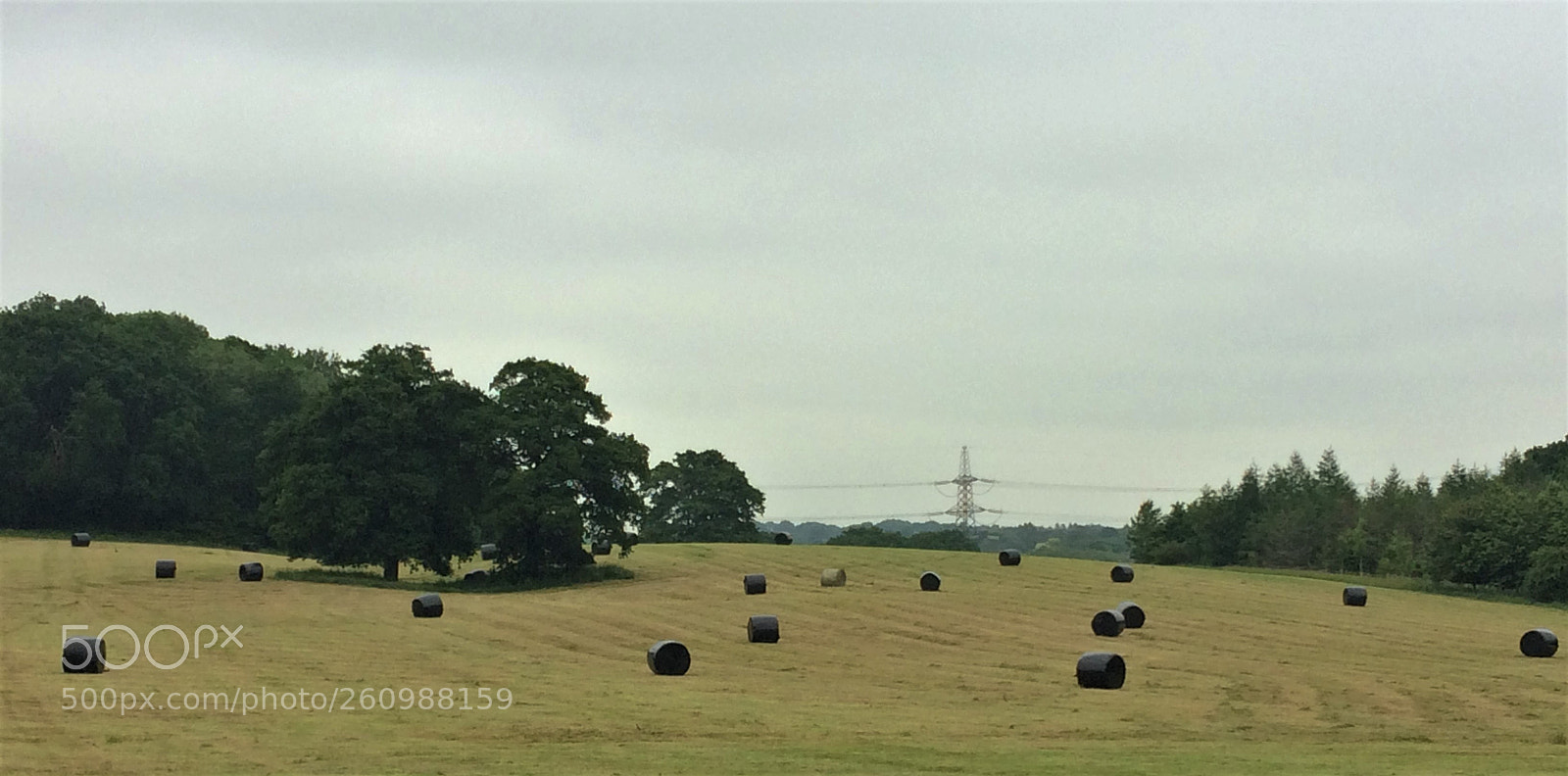 Apple iPhone 5s sample photo. Hay today gone tomorrow photography