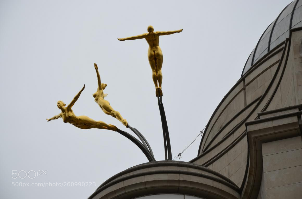 Nikon D5100 sample photo. Free photography