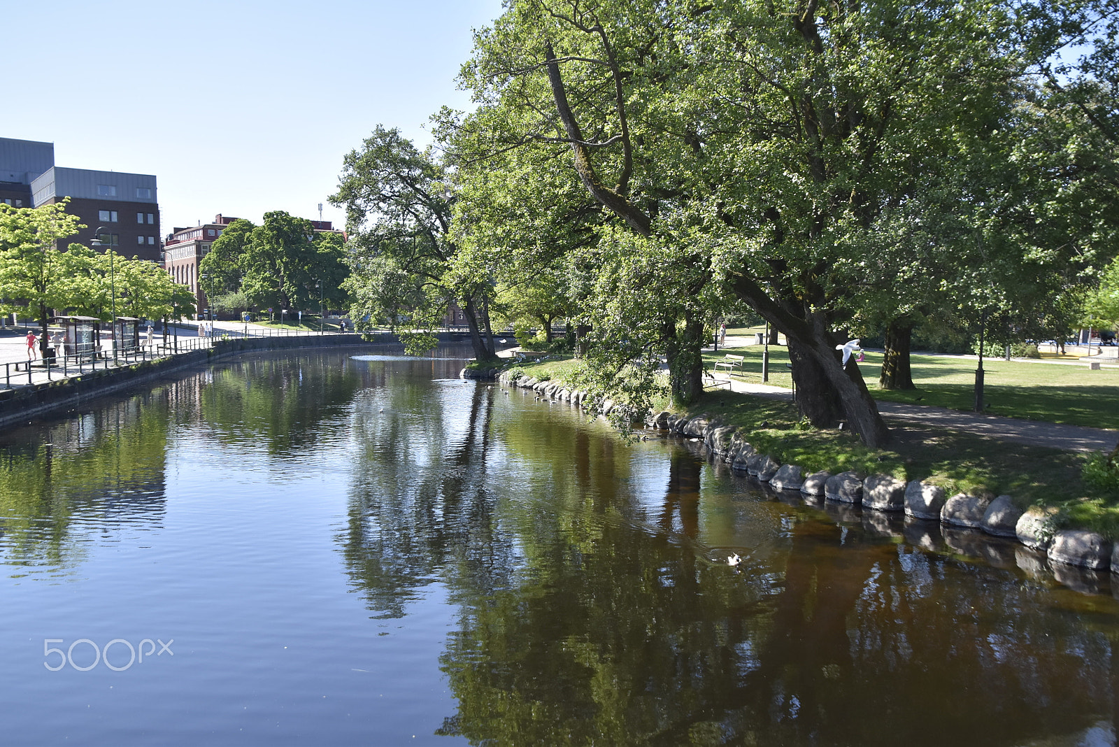 Nikon D5500 sample photo. Vattenspegling_02 photography