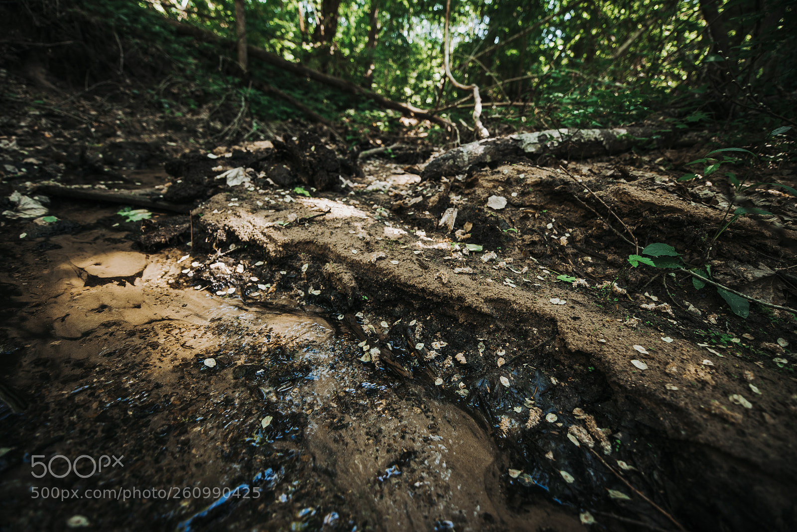Nikon D750 sample photo. Hidden water photography