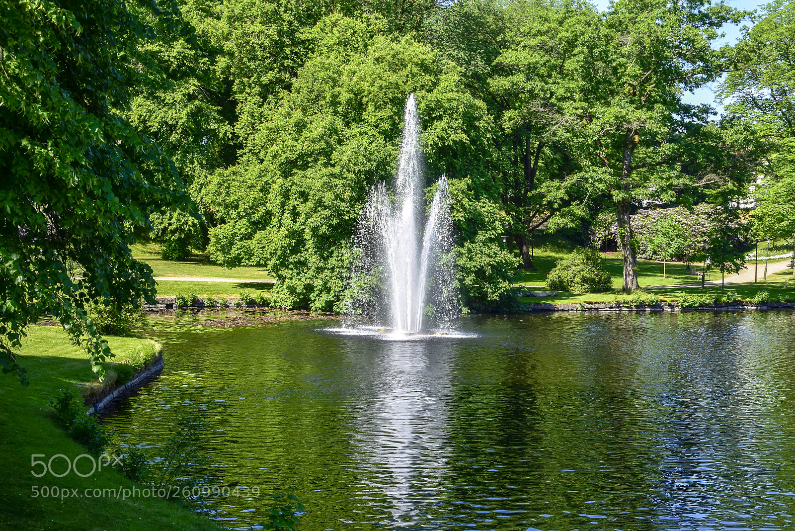 Nikon D5500 sample photo. Vattenspegling_03 photography