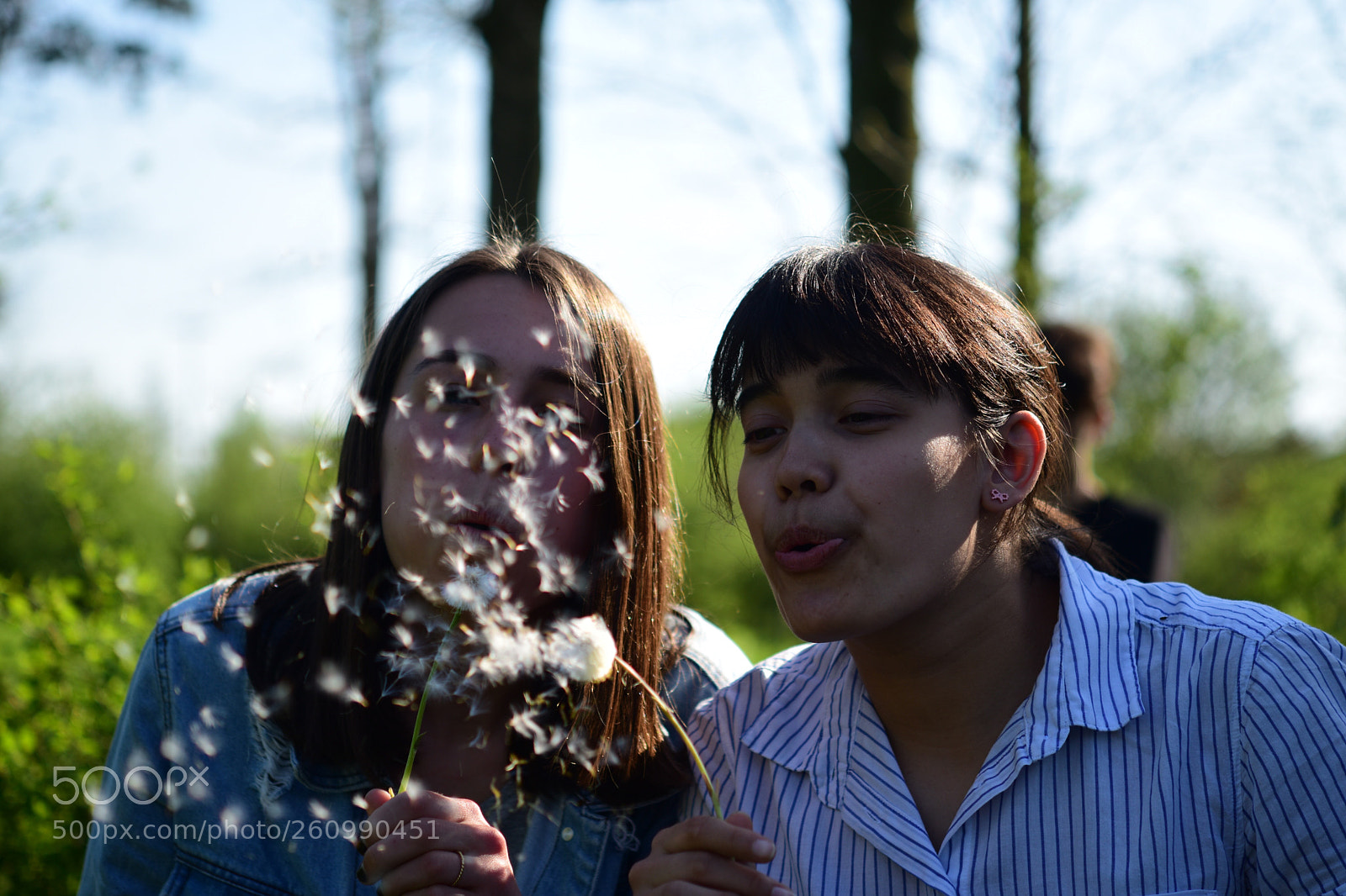 Nikon D5500 sample photo. Untitled photography