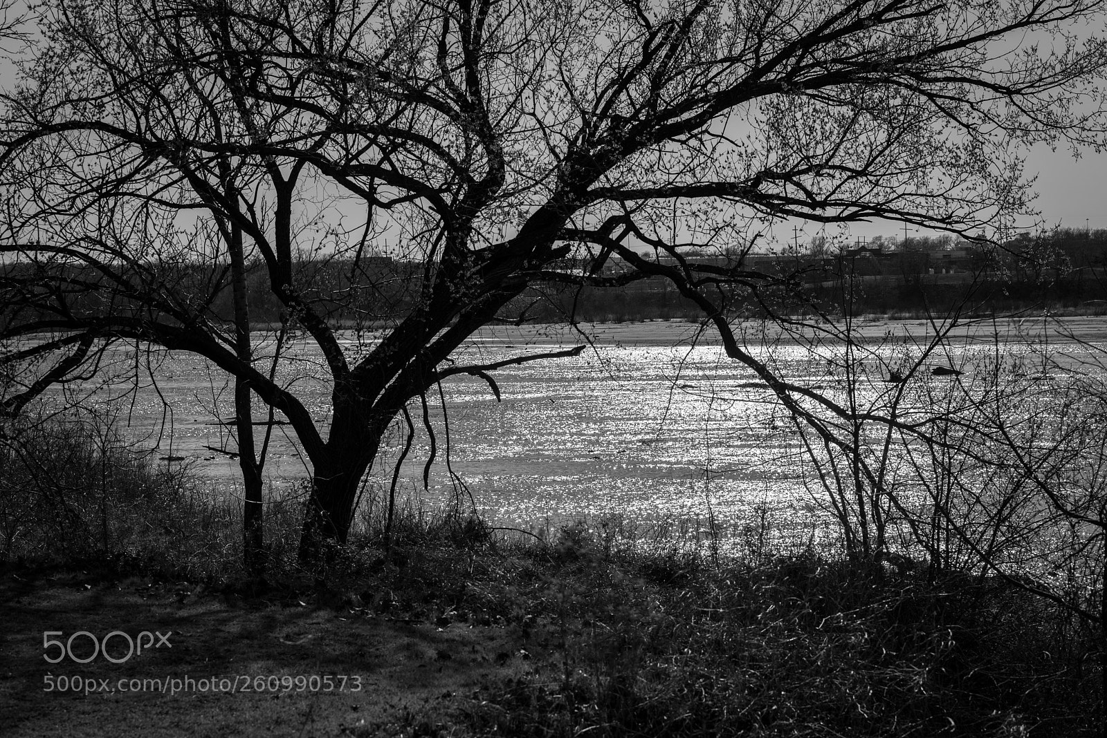 Nikon D750 sample photo. Low key river photography