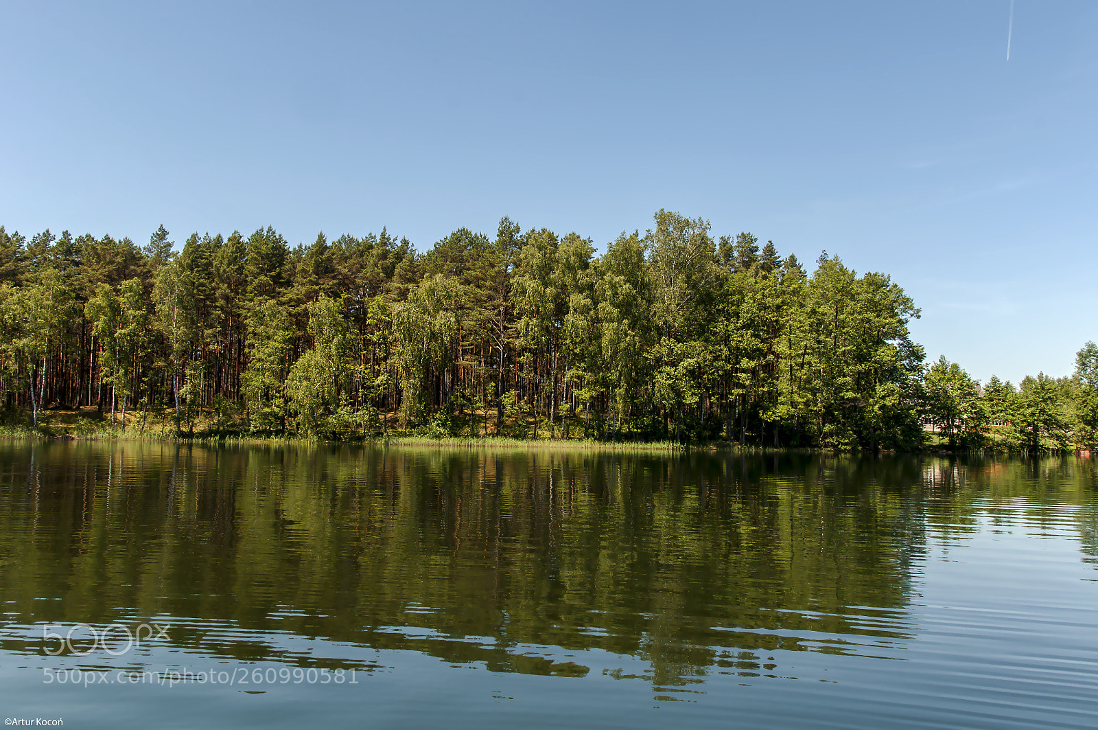 Nikon D90 sample photo. Okoniny lake photography
