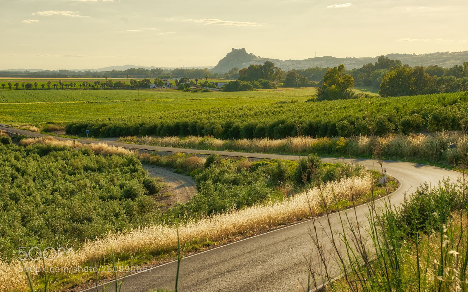 Sony a7 sample photo. Caminos photography