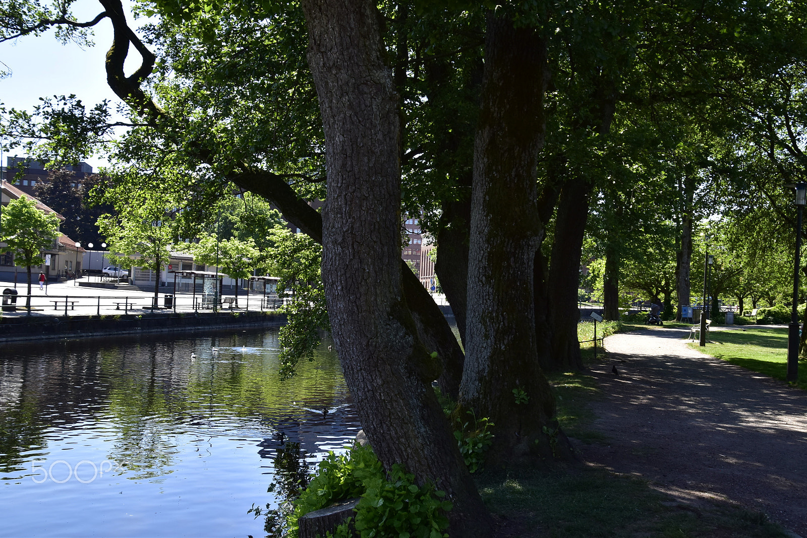 Nikon D5500 sample photo. Vattenspegling_04 photography