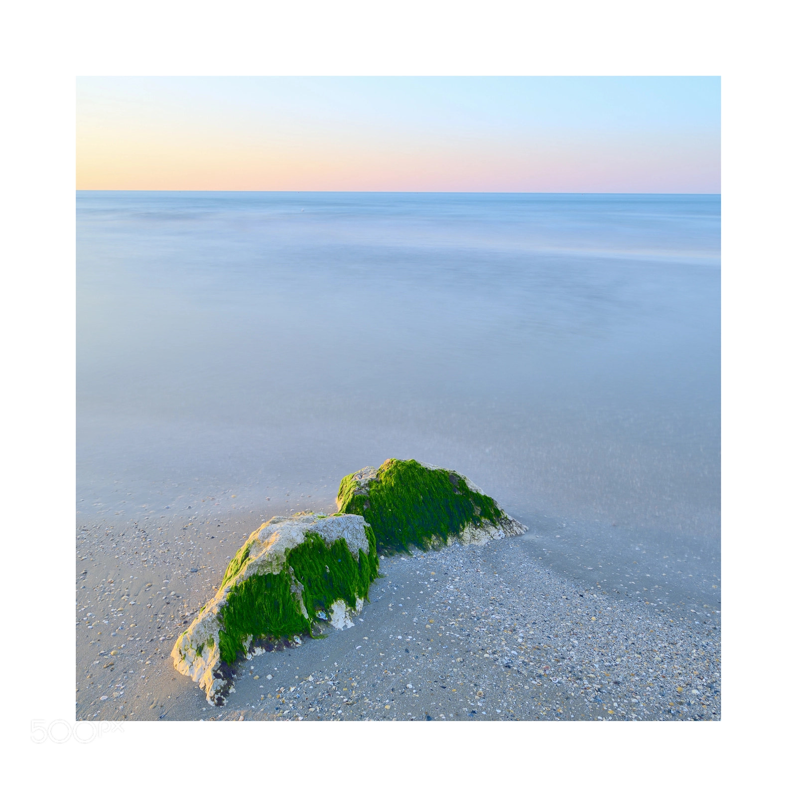 Nikon D750 sample photo. Green wave photography