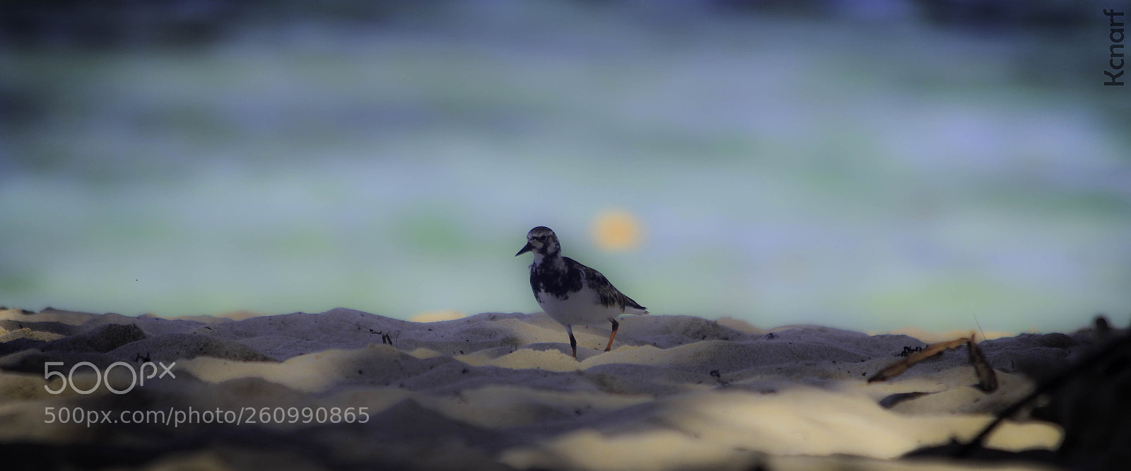 Canon EOS 60D sample photo. Guadeloupe photography