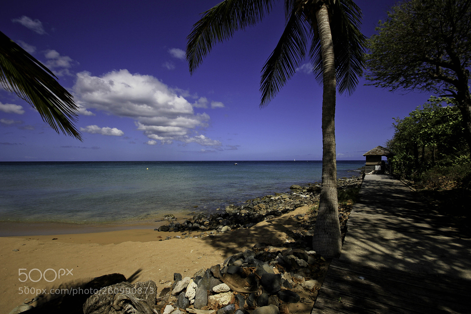 Canon EOS 60D sample photo. Guadeloupe photography