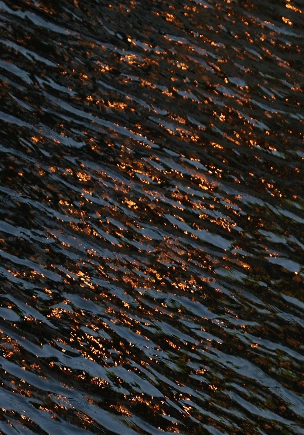 Samsung NX11 sample photo