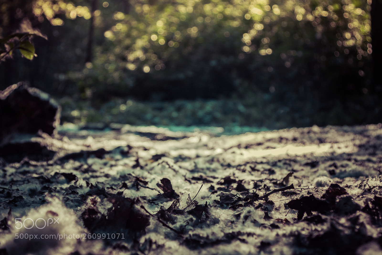 Nikon D3300 sample photo. Early photography