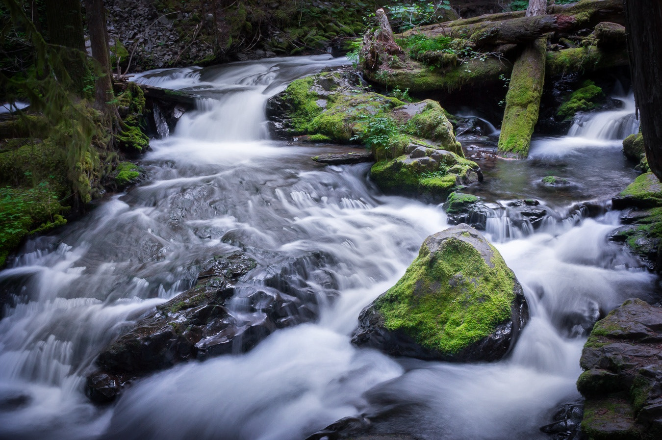 Sony Alpha NEX-5N sample photo. Panther falls creek photography