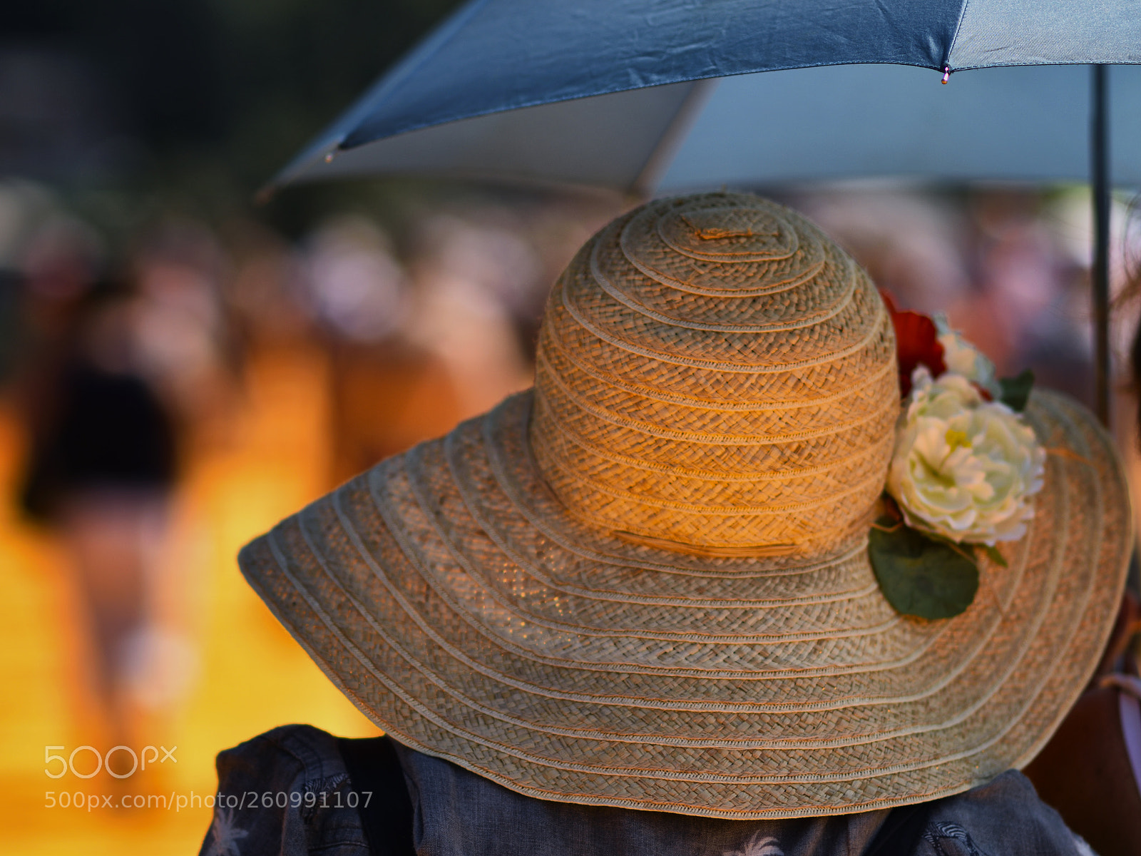 Nikon D810 sample photo. Turista in italia photography