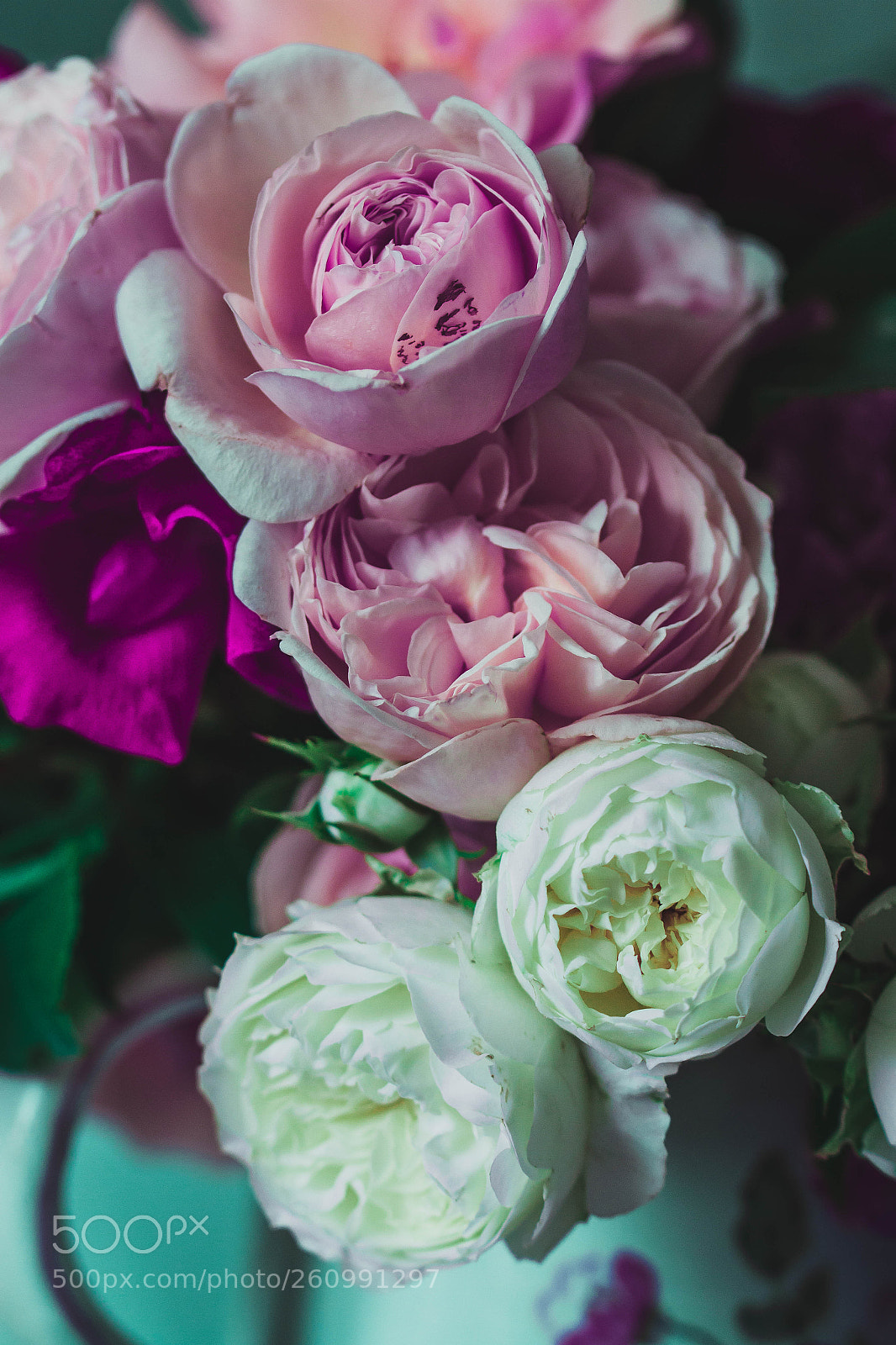 Canon EOS 7D sample photo. Roses.... photography
