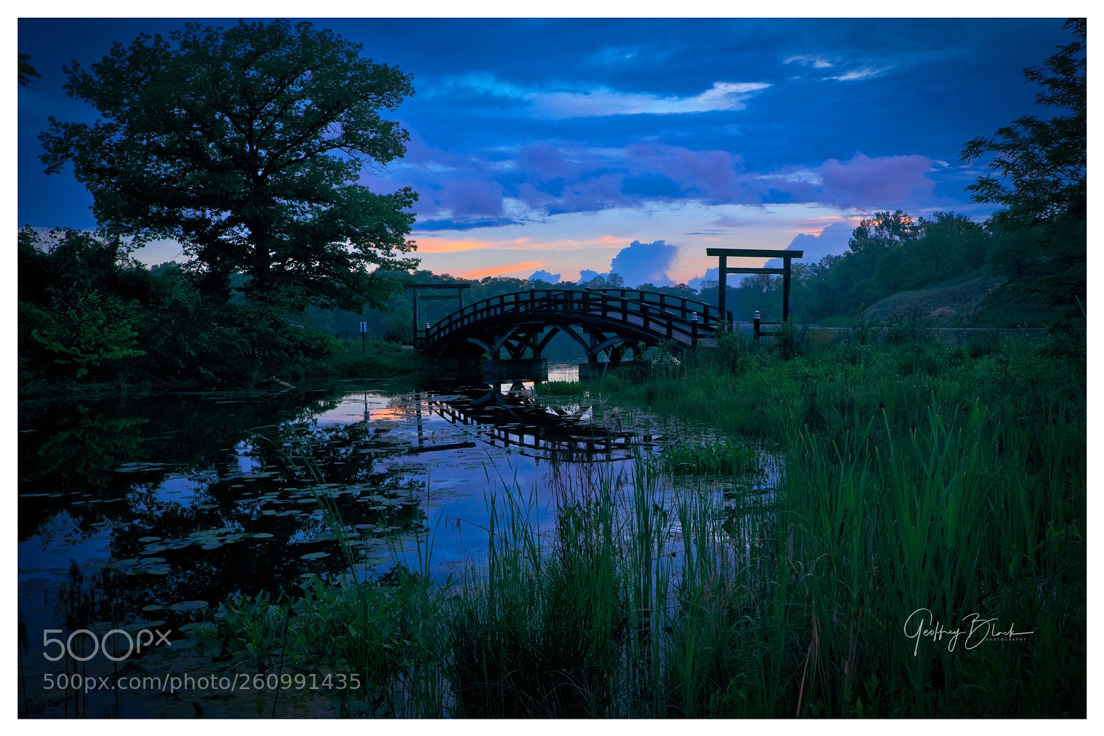 Fujifilm X-Pro2 sample photo. The bridge photography