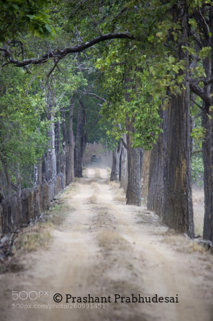 Canon EOS 60D sample photo. Happy world environment day.. photography