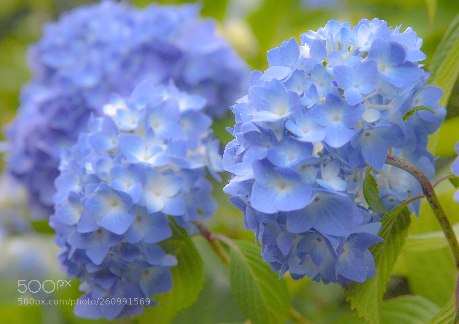 Nikon D810 sample photo. Untitled photography