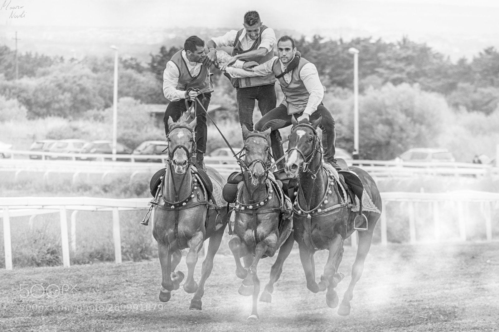 Nikon D3100 sample photo. Knights and ladies photography