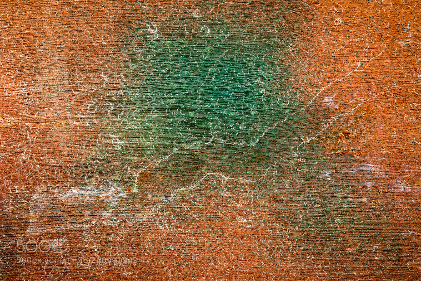 Canon EOS 5D Mark IV sample photo. Red and green photography