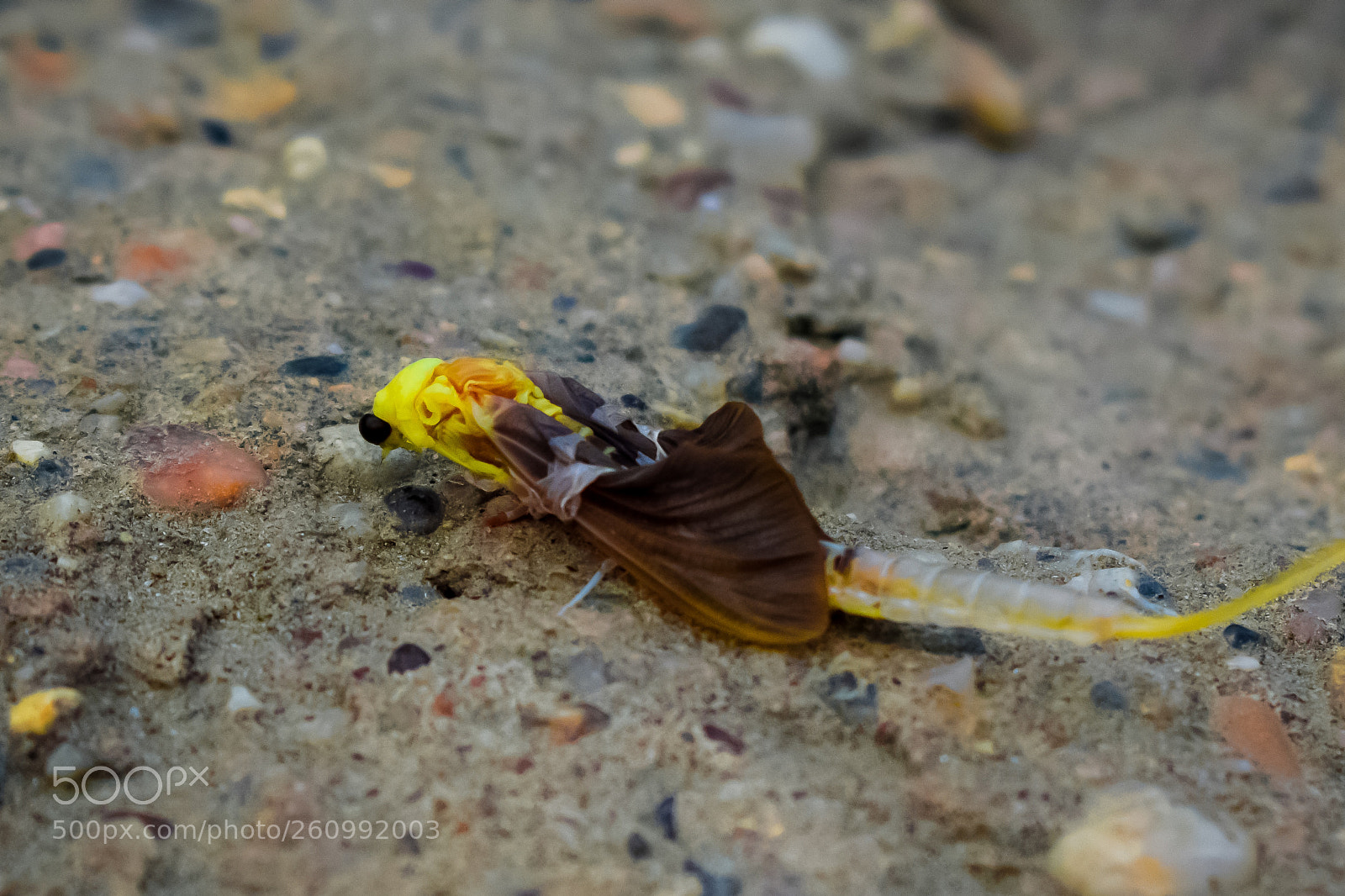 Nikon D5300 sample photo. Untitled photography