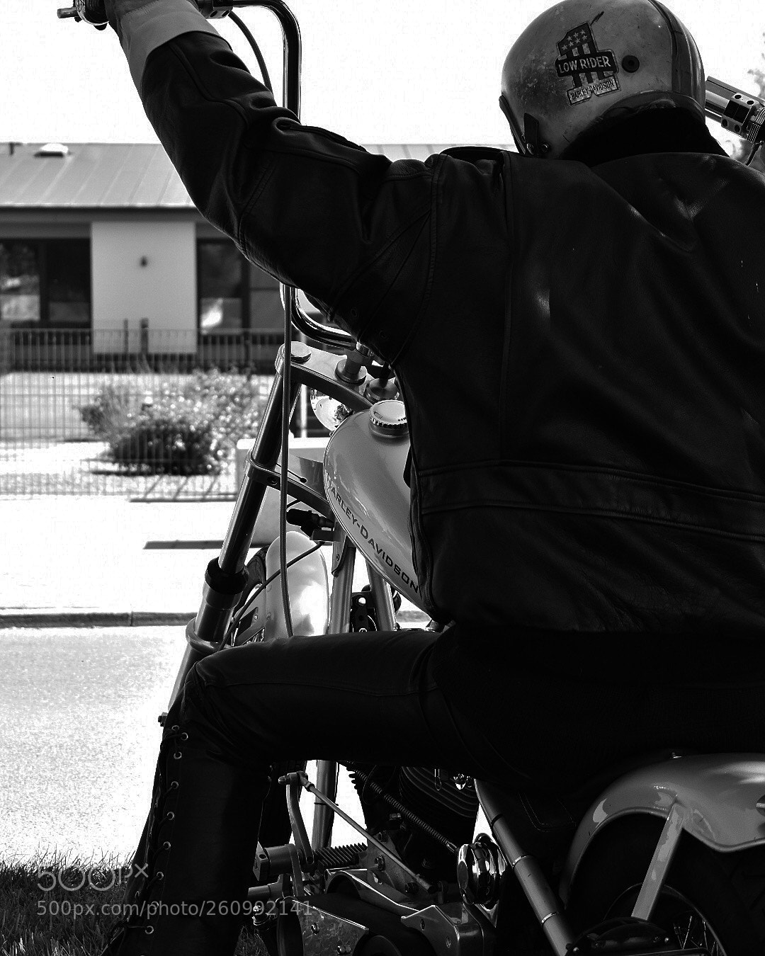 Nikon D3400 sample photo. Untitled photography