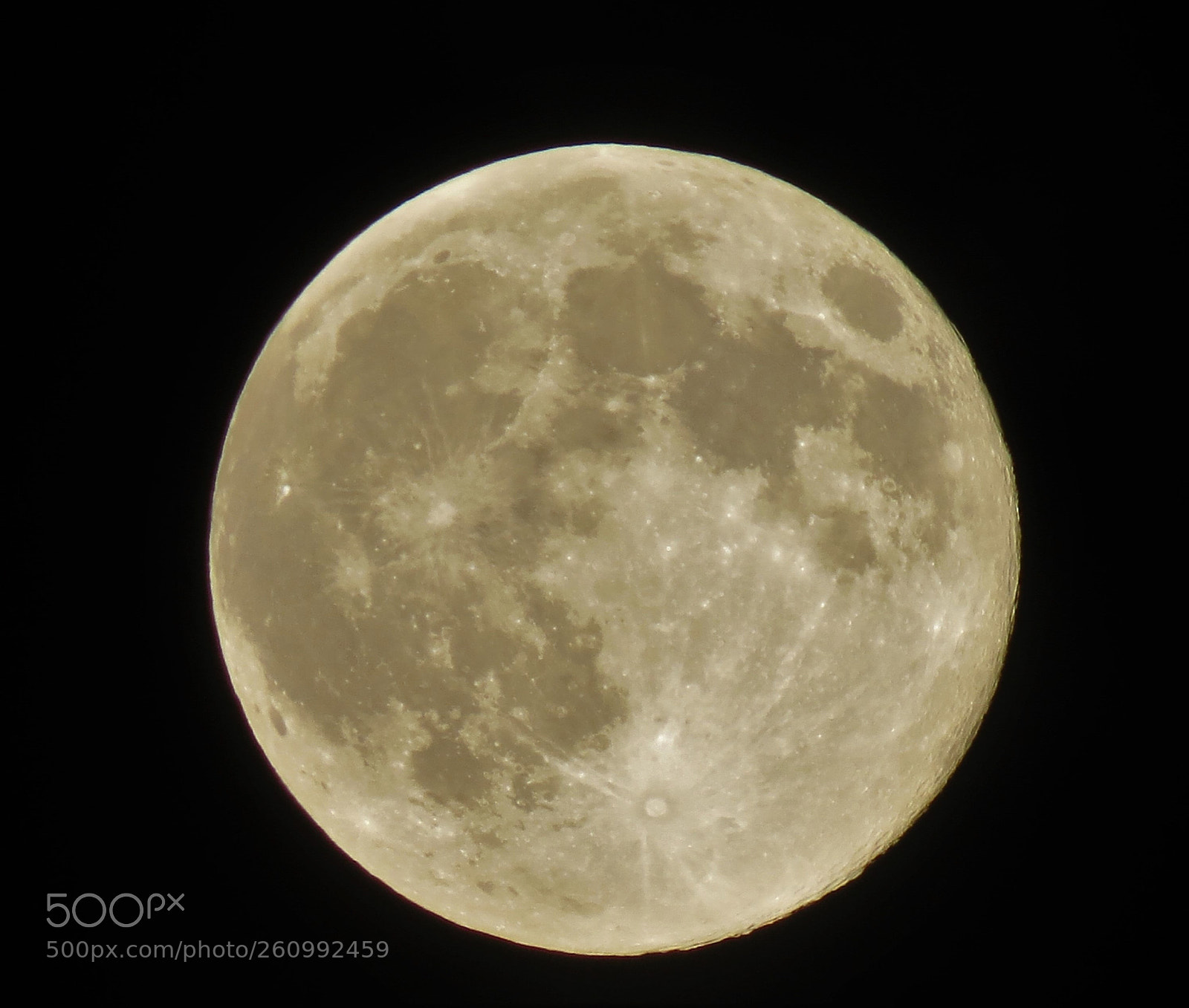 Canon PowerShot SX50 HS sample photo. Goodnight moon photography