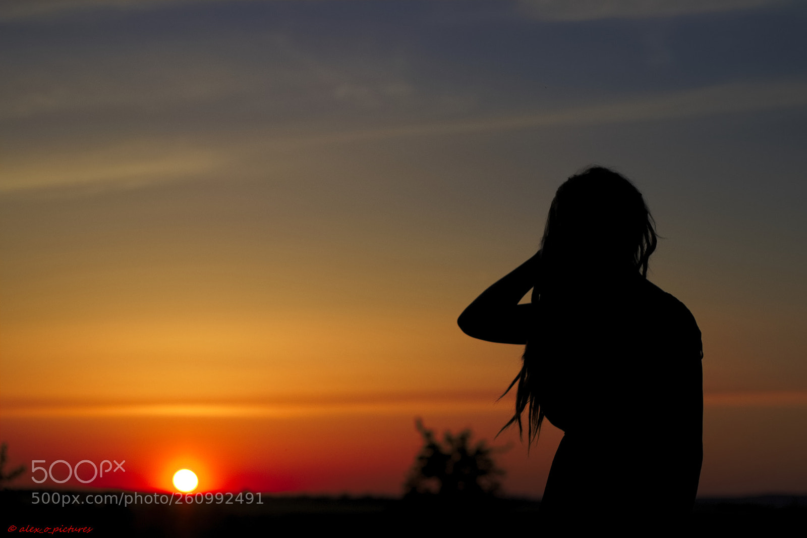 Canon EOS 80D sample photo. Untitled photography